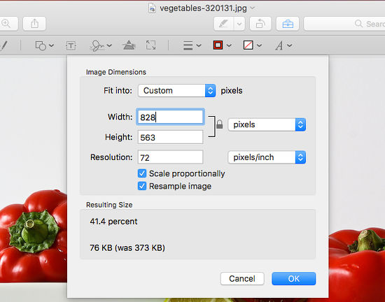 image resizer tool for mac for website images